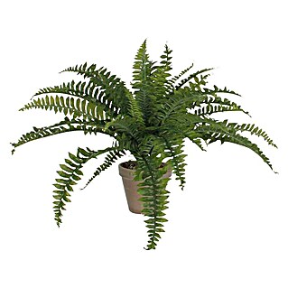 Kunstpflanze Boston-Farn (Höhe: 45 cm, Grün, Kunststoff)