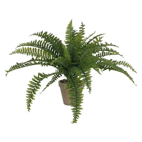 Planta artificial Helecho Boston