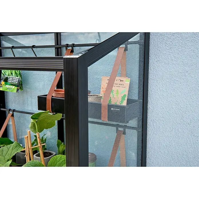 Juliana Gewächshaus - Außenmaß inkl. Dachüberstand (B x T): 80 x 40 cm, Material Seitenwand: Glas, 4 mm, Schwarz - Nahaufnahme eines Juliana Mini-Gewächshauses mit Regalen und Pflanzen.
