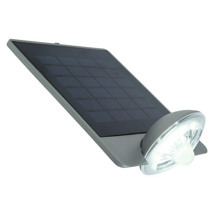 Lutec Aplique solar LED para exterior con sensor Drop (Célula solar, 2,3 W, Color de luz: Blanco neutro, IP44)