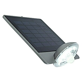 Lutec Aplique solar LED para exterior con sensor Drop (Detector de movimiento, 2,3 W, Color de luz: Blanco neutro, IP44)