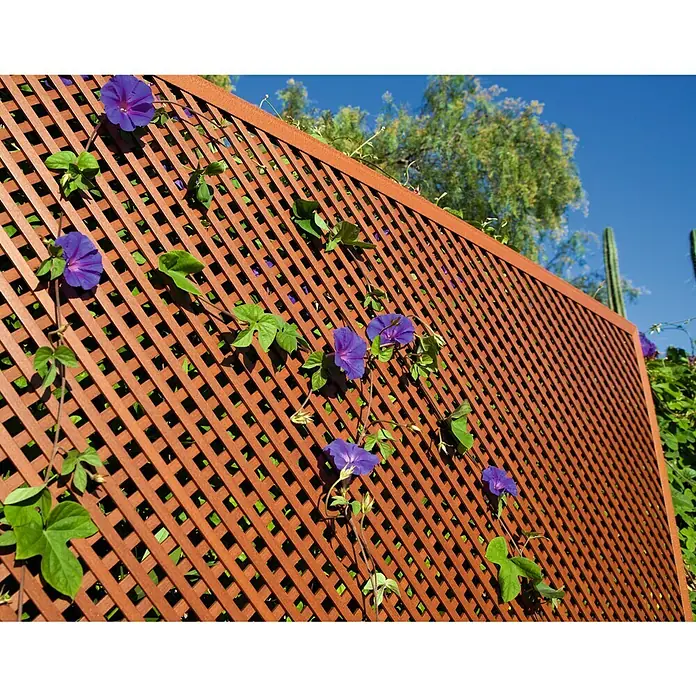 Perfil de marco LOP - Largo: 200 cm, Apto para: Cercados, Plástico, Marrón - Una celosía marrón con plantas trepadoras de flores moradas que crecen en ella, ofreciendo un diseño de jardín atractivo y una pantalla de privacidad.