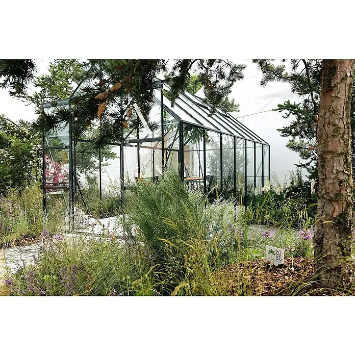 Halls Gewächshaus Magnum 108 - Außenmaß inkl. Dachüberstand (B x T): 257 x 322 cm, 3 mm, Grün, Sicherheitsglas - Glasgewächshaus eingebettet in üppige Gartengestaltung. Das Gewächshaus aus Glas mit Stahlrahmen steht im Zentrum, umgeben von Pflanzen.