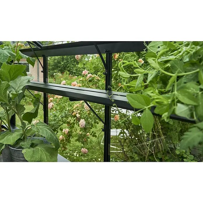 Halls Anzuchttisch - 427 x 18,2 x 2,5 cm - Detailaufnahme von Innenräumen mit Pflanzen und Gartenblick. Ein Regal mit Setzlingen im Gewächshaus bietet Platz für Wachstum und Gedeihen.