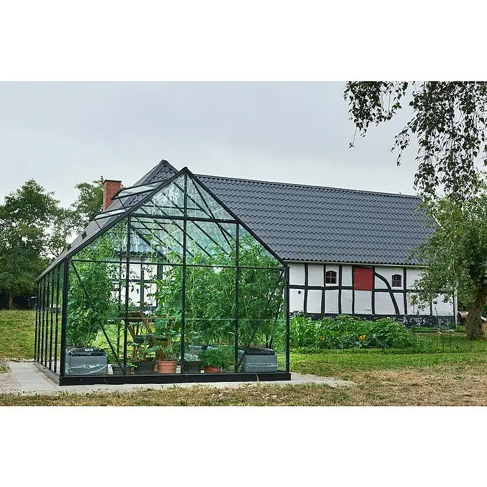 Halls Gewächshaus Universal 128 - Inkl. Fundamentrahmen - Das Gewächshaus mit den grünen Pflanzen bietet den perfekten Rahmen für ein gesundes Wachstum und ist ein attraktiver Blickfang im Garten.
