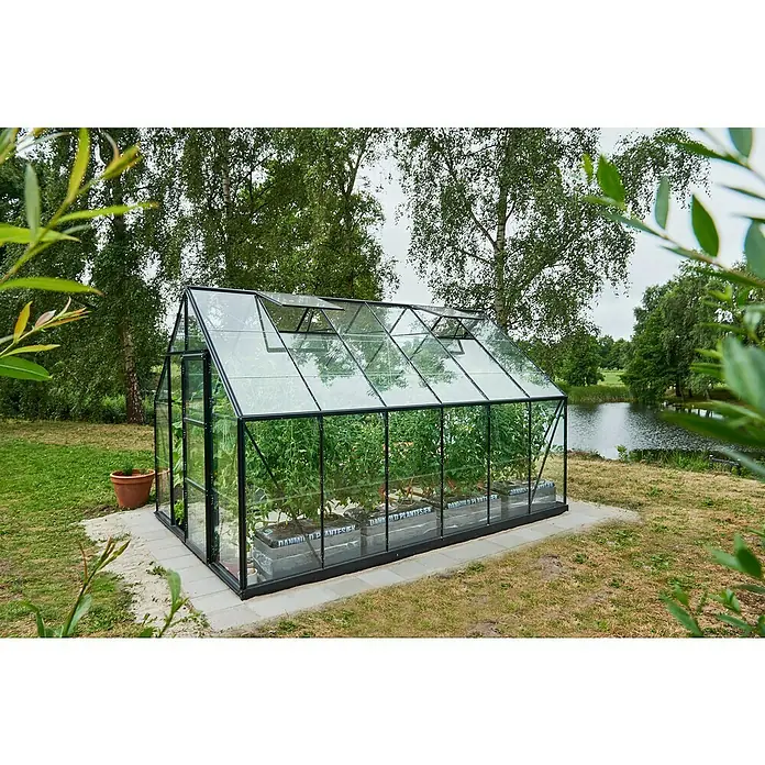 Halls Gewächshaus Universal 128 - Inkl. Fundamentrahmen - Ein elegantes Gewächshaus mit Glasfront, schwarzen Rahmen und geöffneten Dachfenstern steht in einem gepflegten Garten neben einem kleinen Teich.