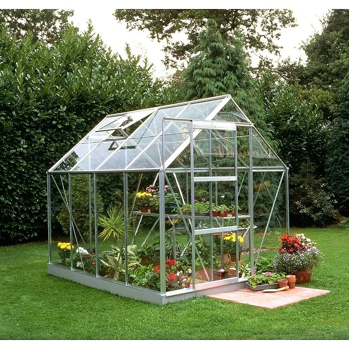 Halls Gewächshaus Popular 86 - Außenmaß inkl. Dachüberstand (B x T): 193 x 257 cm, Material Seitenwand: Glas, 3 mm, Silber - Ein Gewächshaus aus Glas mit Pflanzen darin steht im Garten. Das Gewächshaus bietet Pflanzen Schutz und verlängert die Vegetationsperiode.
