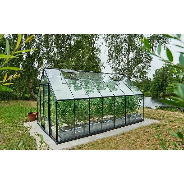 Halls Gewächshaus Universal 148 - Außenmaß inkl. Dachüberstand (B x T): 257 x 384 cm, Material Seitenwand: Glas, Schwarz - Ein Gewächshaus mit Pflanzen darin steht auf einer betonierten Fläche im Garten. Das Gewächshaus ist aus Glas und schwarzem Metall gefertigt.