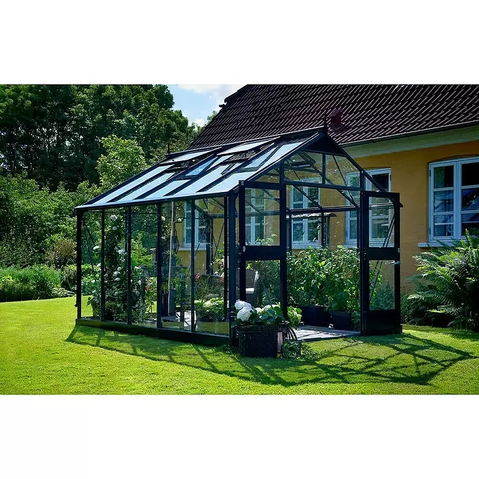 Juliana Gewächshaus Premium - Außenmaß inkl. Dachüberstand (B x T): 296 x 368 cm, 3 mm, Anthrazit, Einscheibensicherheitsglas - Ein geräumiges Gewächshaus aus Glas mit dunklem Rahmen steht in einem sonnigen Garten, gefüllt mit üppigen Pflanzen wie Tomaten und Rosen, neben einem gelben Haus.