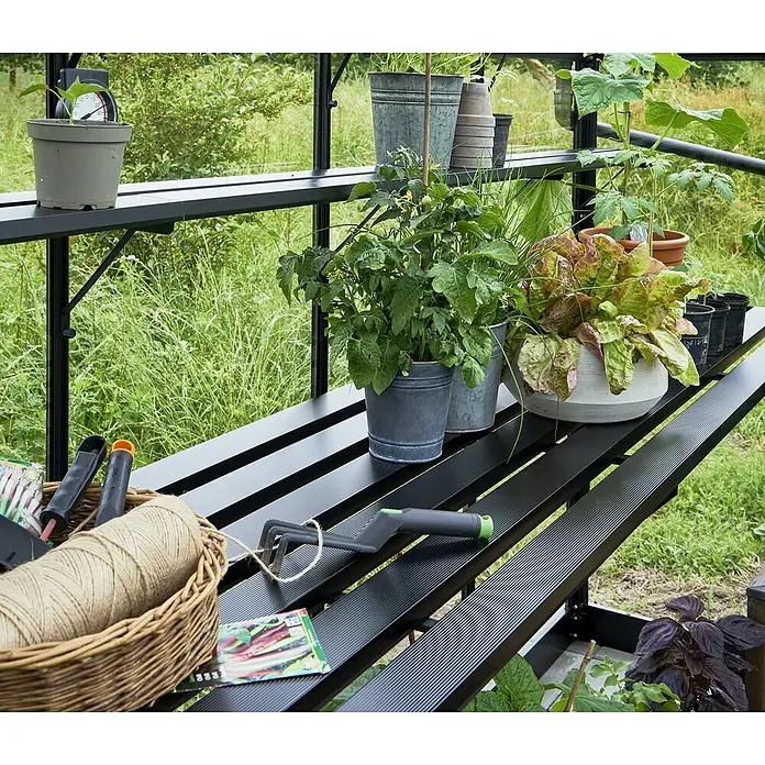 Halls Anzuchttisch Qube Square - 245 x 61,5 x 10 cm - Produktaufnahme eines Gartengewächshauses mit Pflanzen und Gartengeräten auf Regalen, die die Gartenarbeit erleichtern.