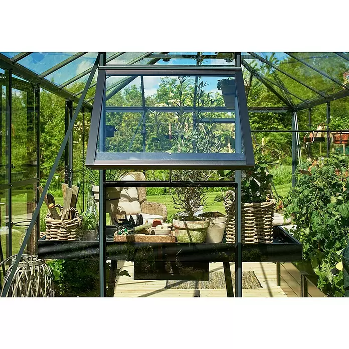 Juliana Gewächshaus Grand Oase - Außenmaß inkl. Dachüberstand (B x T): 439 x 296 cm - Schwarzes Gewächshaus aus Metall und Glas mit offenem Dachfenster, innen mit Regalen, Topfpflanzen und Gartenzubehör.