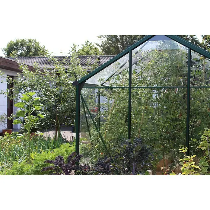 Juliana Gewächshaus Compact - Außenmaß inkl. Dachüberstand (B x T): 224 x 368 cm, Material Seitenwand: Glas, 3 mm, Schwarz - Ein Garten mit einem Gewächshaus voller Tomatenpflanzen, umgeben von Gemüsebeeten und Obstbäumen.