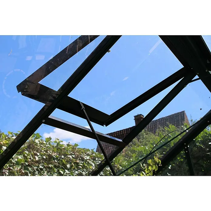 Juliana Gewächshaus Compact - Außenmaß inkl. Dachüberstand (B x T): 224 x 296 cm, Material Seitenwand: Glas, 3 mm, Schwarz - Nahaufnahme eines Gewächshausfensters, das den blauen Himmel und die grüne Vegetation draußen zeigt.