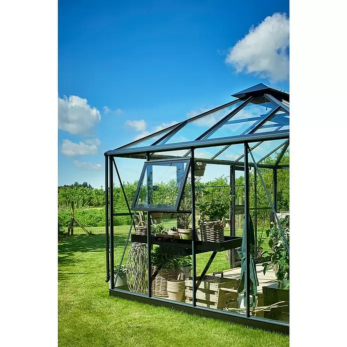 Juliana Gewächshaus Grand Oase - Außenmaß inkl. Dachüberstand (B x T): 439 x 296 cm - Schwarz gerahmtes Gewächshaus aus Glas mit offenem Dachfenster, gefüllt mit Pflanzen und Gartengeräten, in einem sonnigen Garten.