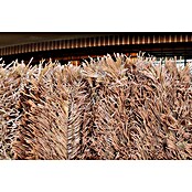 Malla de ocultación seto artificial Premium (3 x 2 m, Marrón) | BAUHAUS