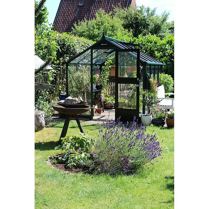 Juliana Gewächshaus Compact - Außenmaß inkl. Dachüberstand (B x T): 224 x 224 cm, Material Seitenwand: Glas, 3 mm, Schwarz - Eine Juliana Gewächshaus im Garten, umgeben von blühenden Lavendel und üppigem Grün, lädt zum Verweilen und Gärtnern ein.