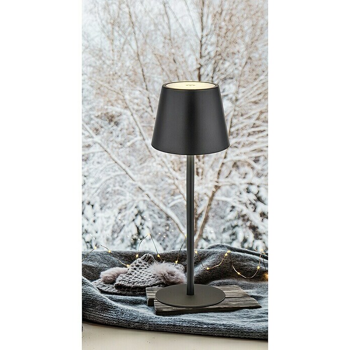 Akumulatorska namizna svetilka 3-v-1  (Barva svetlobe: Večbarvno, LED, Višina: 36 cm) | 3111 - Akkuleuchte dekorativ | CAJB - Outdoorleuchten Akku | CAJ - Outdoorleuchten | CA - Beleuchtung | C - Elektro | BAUHAUS