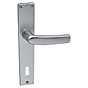 Lienbacher Drückergarnitur Florida II (Aluminium, Buntbart) | BAUHAUS