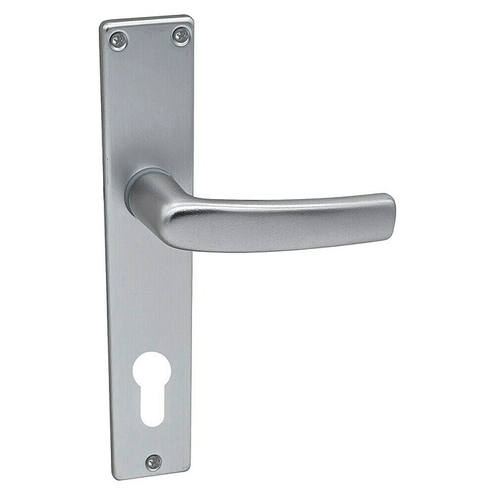 Lienbacher Drückergarnitur Florida II (Aluminium, Profilzylinder) | BAUHAUS
