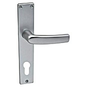 Lienbacher Drückergarnitur Florida II (Aluminium, Profilzylinder) | BAUHAUS