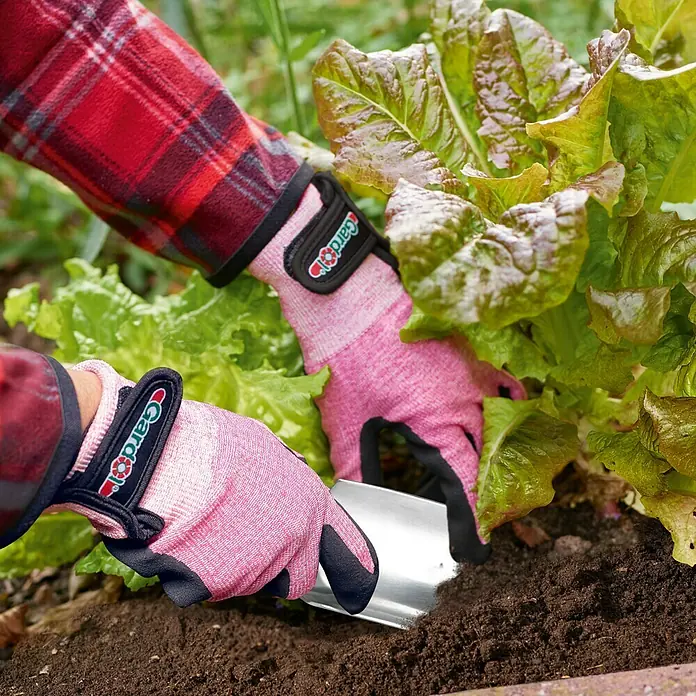 Gardol Gartenhandschuhe Pflanzen - 9, Pink - Gartenszene mit pinken Gartenhandschuhen bei der Arbeit mit Salatpflanzen und einer kleinen Schaufel.