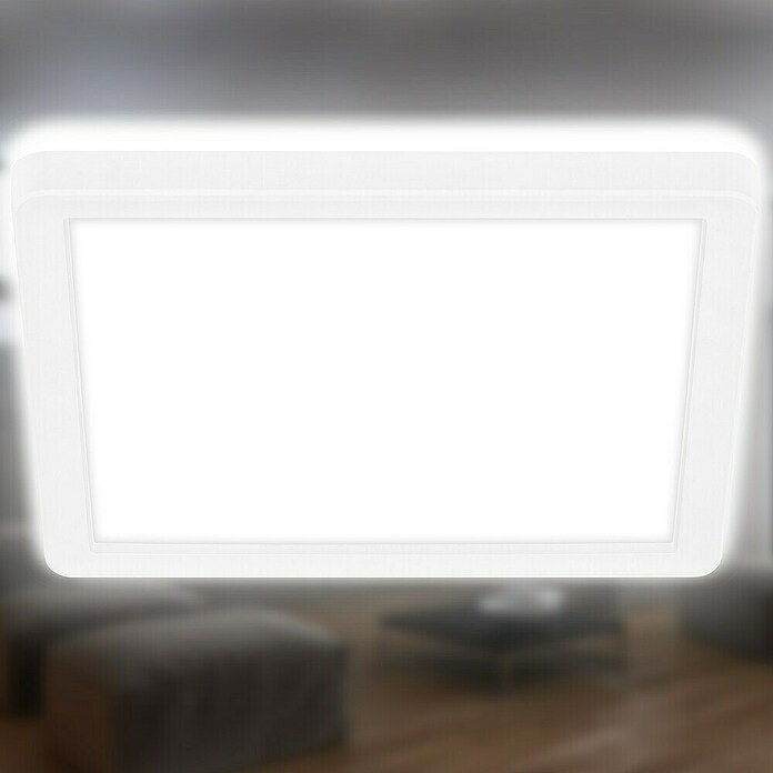 LED-Panel (12 W, L x B x H: 19 x 19 x 2,8 cm, Neutralweiß) | BAUHAUS