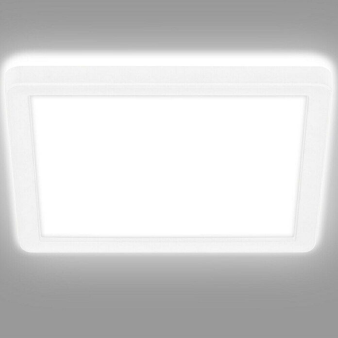 LED-Panel (12 W, L x B x H: 19 x 19 x 2,8 cm, Neutralweiß) | BAUHAUS