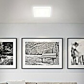 LED-Panel (12 W, L x B x H: 19 x 19 x 2,8 cm, Neutralweiß) | BAUHAUS