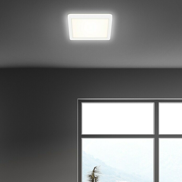 LED-Panel (12 W, L x B x H: 19 x 19 x 2,8 cm, Neutralweiß) | BAUHAUS