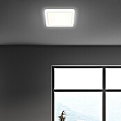 LED-Panel (12 W, L x B x H: 19 x 19 x 2,8 cm, Neutralweiß) | BAUHAUS