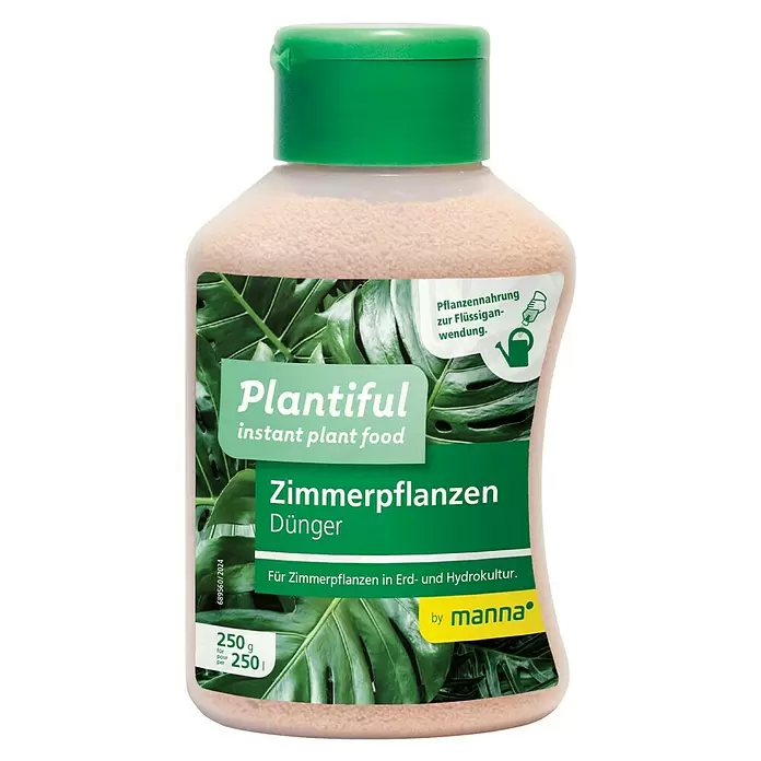 zimmerpflanzen panaschierte blätter Ficus sp. 'Tricolor Variegata' – Jungle Leaves
