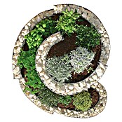 Bellissa Kräuterspirale (110 x 90 x 60 cm)
