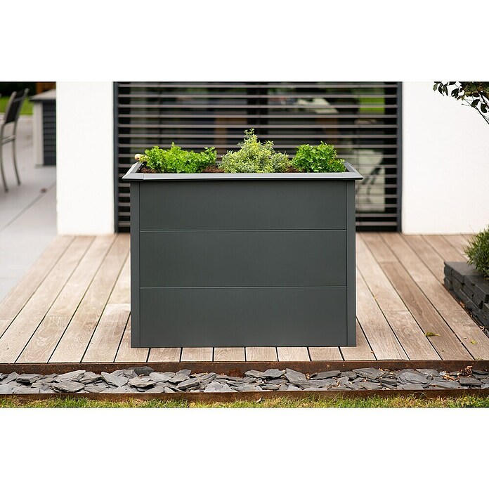 Westmann Hochbeet Primus M (50 x 100 x 77 cm, Metall, Anthrazit) | BAUHAUS