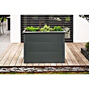 Westmann Hochbeet Primus M (50 x 100 x 77 cm, Metall, Anthrazit) | BAUHAUS
