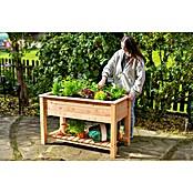Westmann Hochbeet Emily (65 x 120 x 72 cm, Holz, Natur, Ausstattung Hochbeet: Ablagefläche) | BAUHAUS