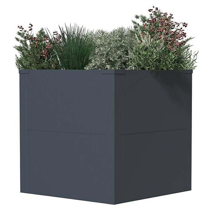 Westmann Pflanzkasten Tallus S (Metall, Anthrazit, L x B x H: 50 x 50 x 50 cm) | BAUHAUS
