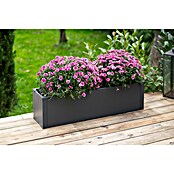 Westmann Pflanzkasten Tallus M (Metall, Anthrazit, L x B x H: 25 x 100 x 27 cm) | BAUHAUS