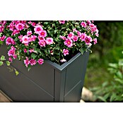 Westmann Pflanzkasten Tallus XL (Metall, Anthrazit, L x B x H: 25 x 100 x 77 cm) | BAUHAUS