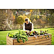 Westmann Hochbeet Asket XL (70 x 160 x 90 cm, Holz, Natur) | BAUHAUS