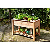 Westmann Hochbeet Emily (65 x 120 x 72 cm, Holz, Natur, Ausstattung Hochbeet: Ablagefläche) | BAUHAUS