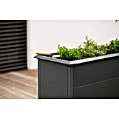 Westmann Hochbeet Primus M (50 x 100 x 77 cm, Metall, Anthrazit) | BAUHAUS