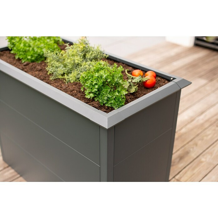Westmann Hochbeet Primus M (50 x 100 x 77 cm, Metall, Anthrazit) | BAUHAUS