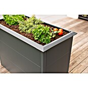 Westmann Hochbeet Primus M (50 x 100 x 77 cm, Metall, Anthrazit) | BAUHAUS