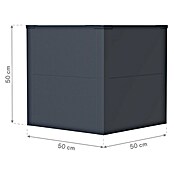 Westmann Pflanzkasten Tallus S (Metall, Anthrazit, L x B x H: 50 x 50 x 50 cm) | BAUHAUS
