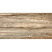 Keramische tegel Betulla (30 x 60 cm, Bruin, Geglazuurd)