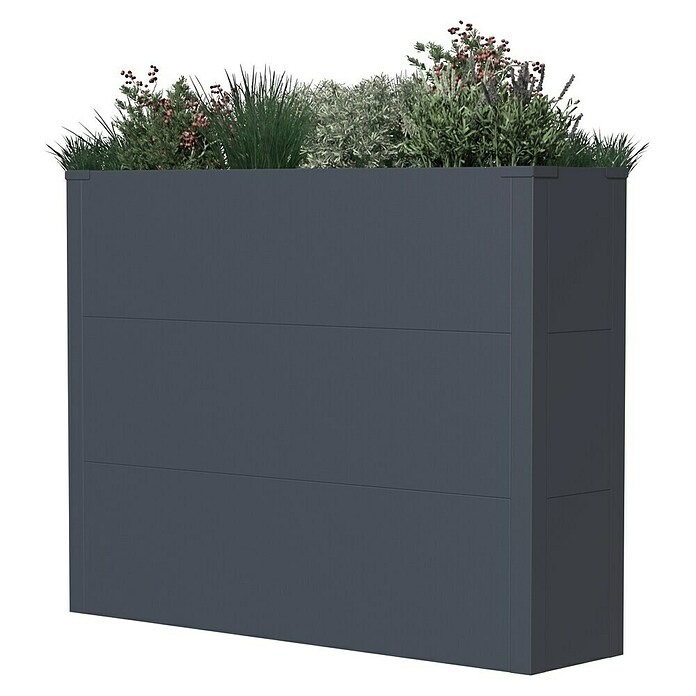 Westmann Pflanzkasten Tallus XL (Metall, Anthrazit, L x B x H: 25 x 100 x 77 cm) | BAUHAUS