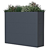 Westmann Pflanzkasten Tallus XL (Metall, Anthrazit, L x B x H: 25 x 100 x 77 cm) | BAUHAUS