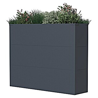Westmann Pflanzkasten Talus XL (L x B x H: 25 x 100 x 77 cm, Metall, Anthrazit)