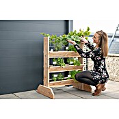Westmann Kräuterhochbeet Viktoria L mit Rankgitter (L x B x H: 50 x 80 x 95 cm) | BAUHAUS