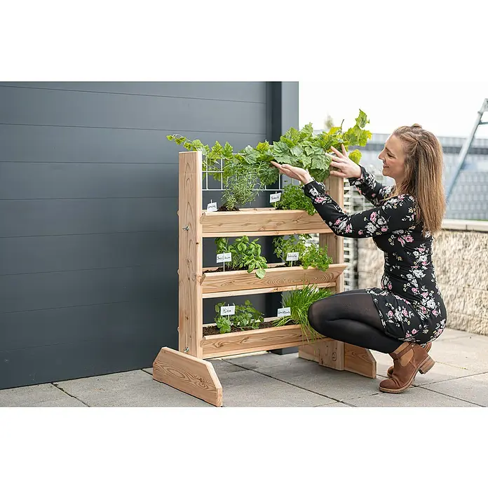 Westmann Kräuterhochbeet Viktoria L mit Rankgitter - L x B x H: 50 x 80 x 95 cm - Frau kümmert sich um ein vertikales Kräuterbeet aus Holz mit verschiedenen Kräutern und Pflanzen in Töpfen im Freien.